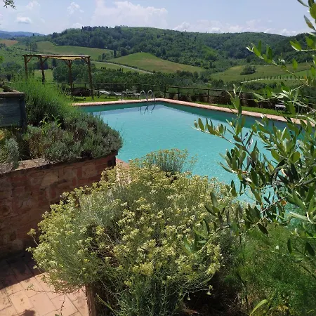 Antonella House -podere Della Collina *