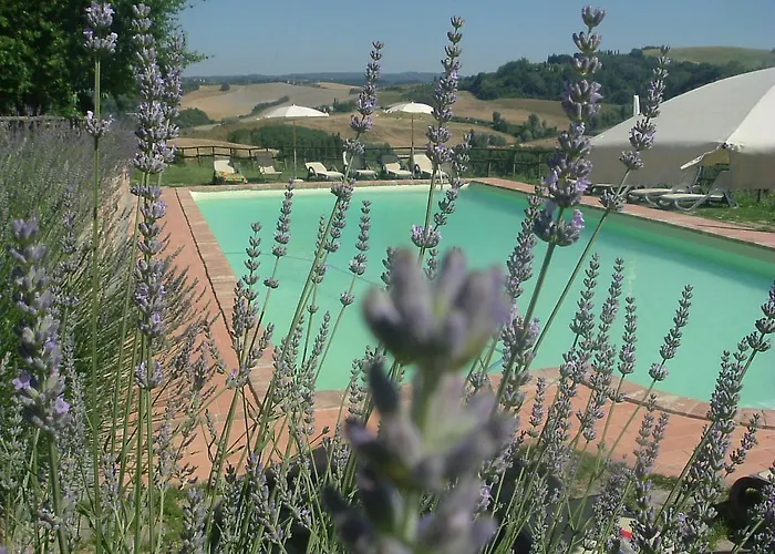 Lägenhetshotell Antonella House -podere Della Collina 3*